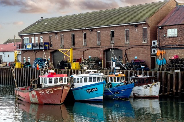 IMGP4447-Scarborough[1]