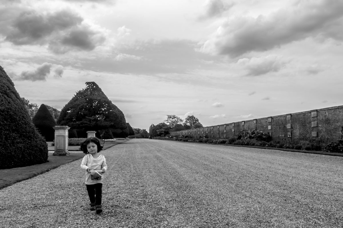 Hampton-Court-Palace-IMGP1188