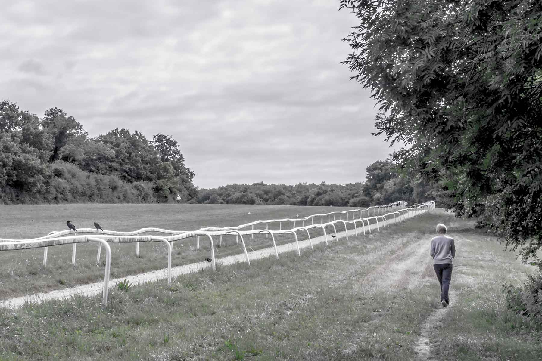 Epsom-Downs-IMGP1966