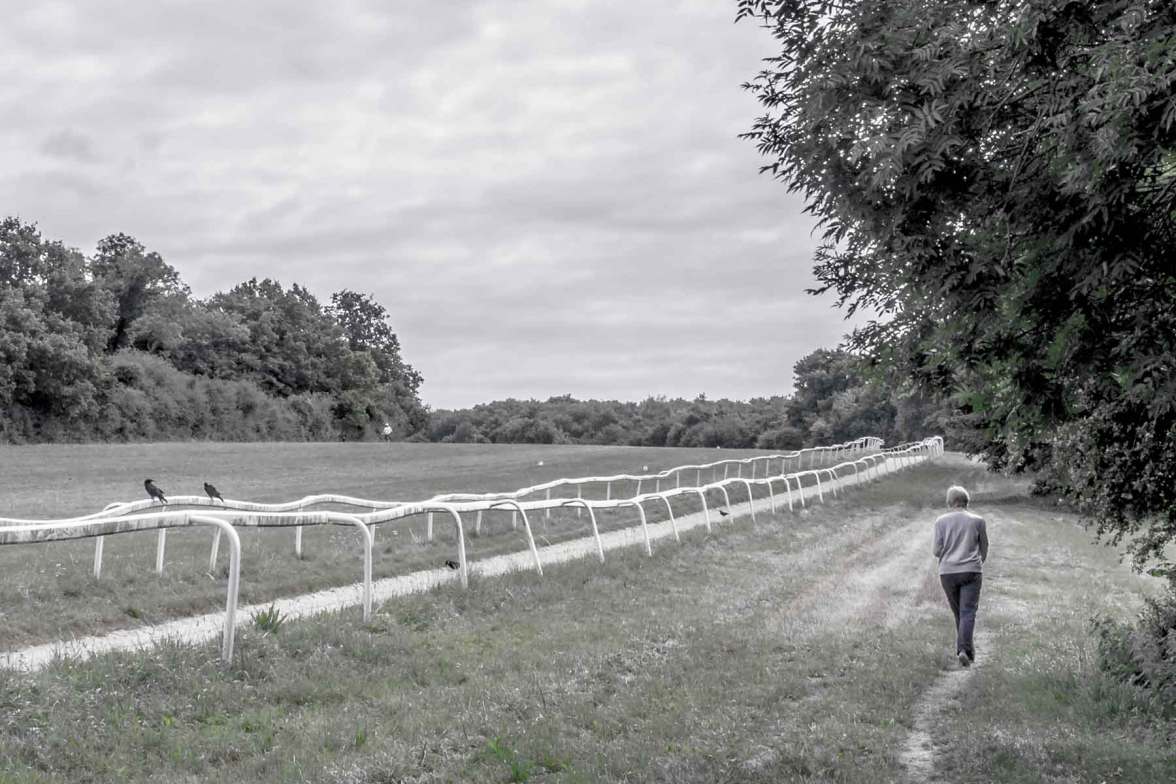 Epsom-Downs-IMGP1966