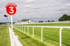 Epsom-Downs-IMGP1979