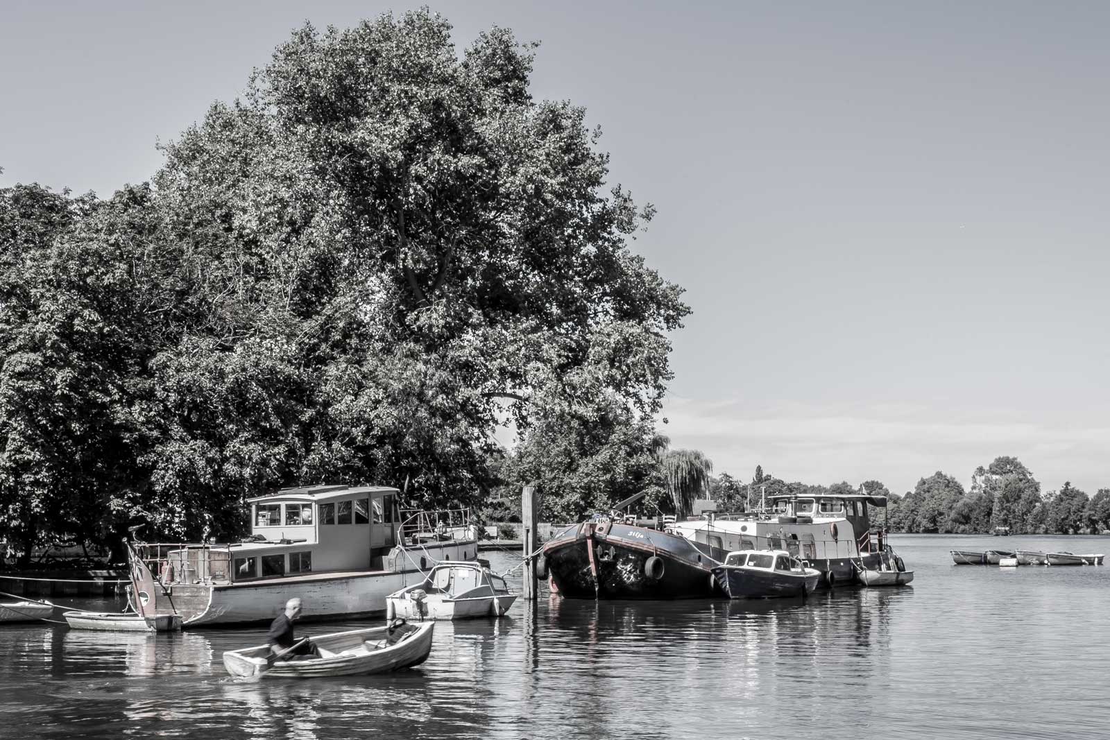 Thames@Kingston-IMGP2069