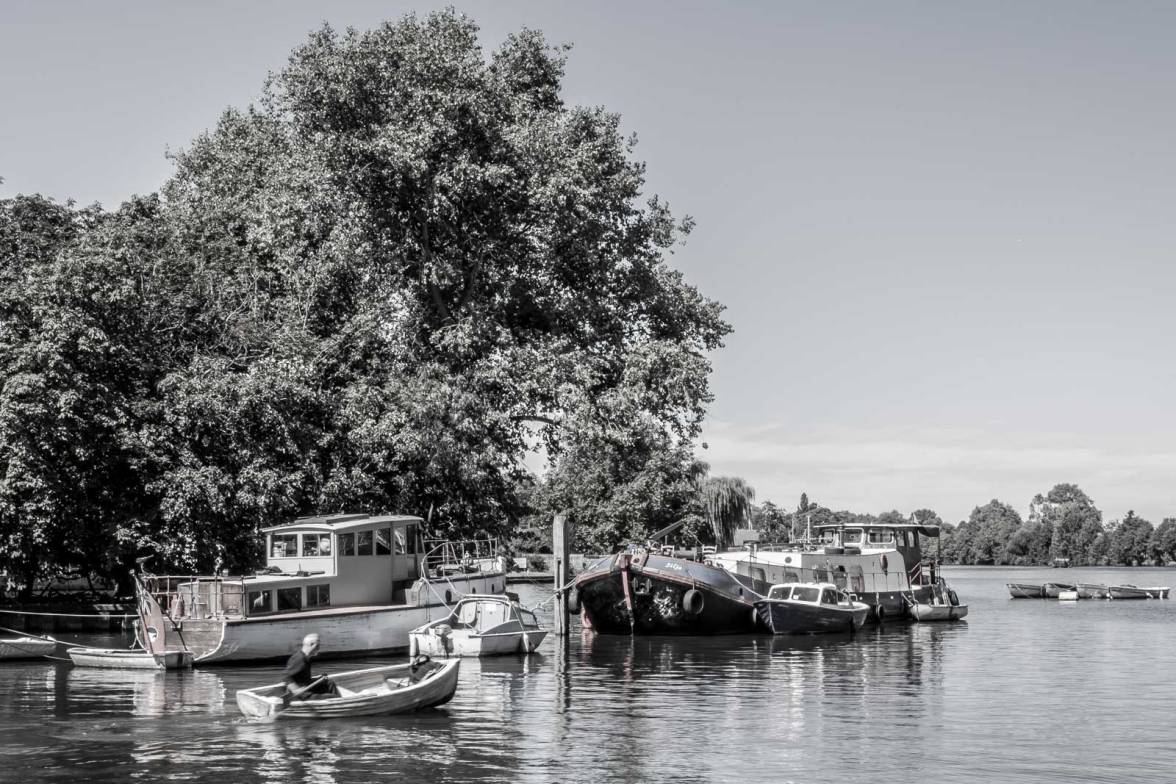 Thames@Kingston-IMGP2069