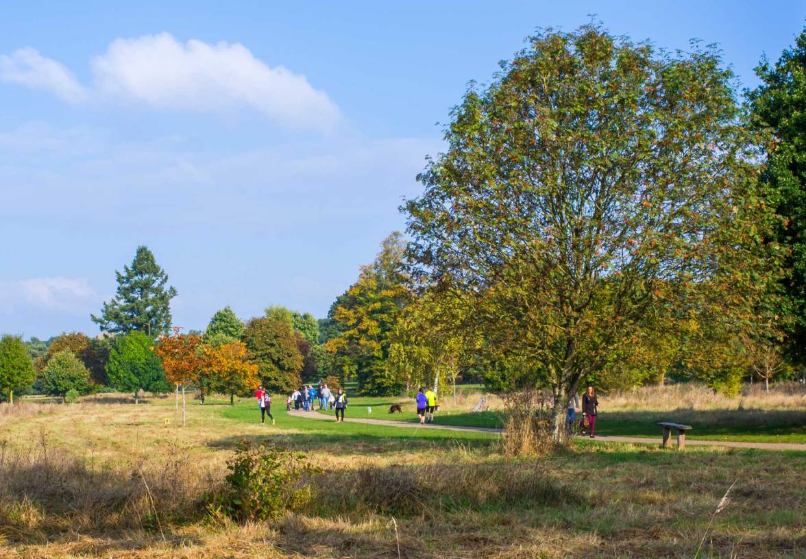 nonsuch-park-imgp2453
