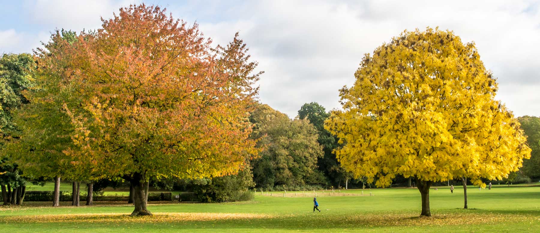 nonsuchpark-oct16-imgp2494
