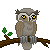 owl_icon