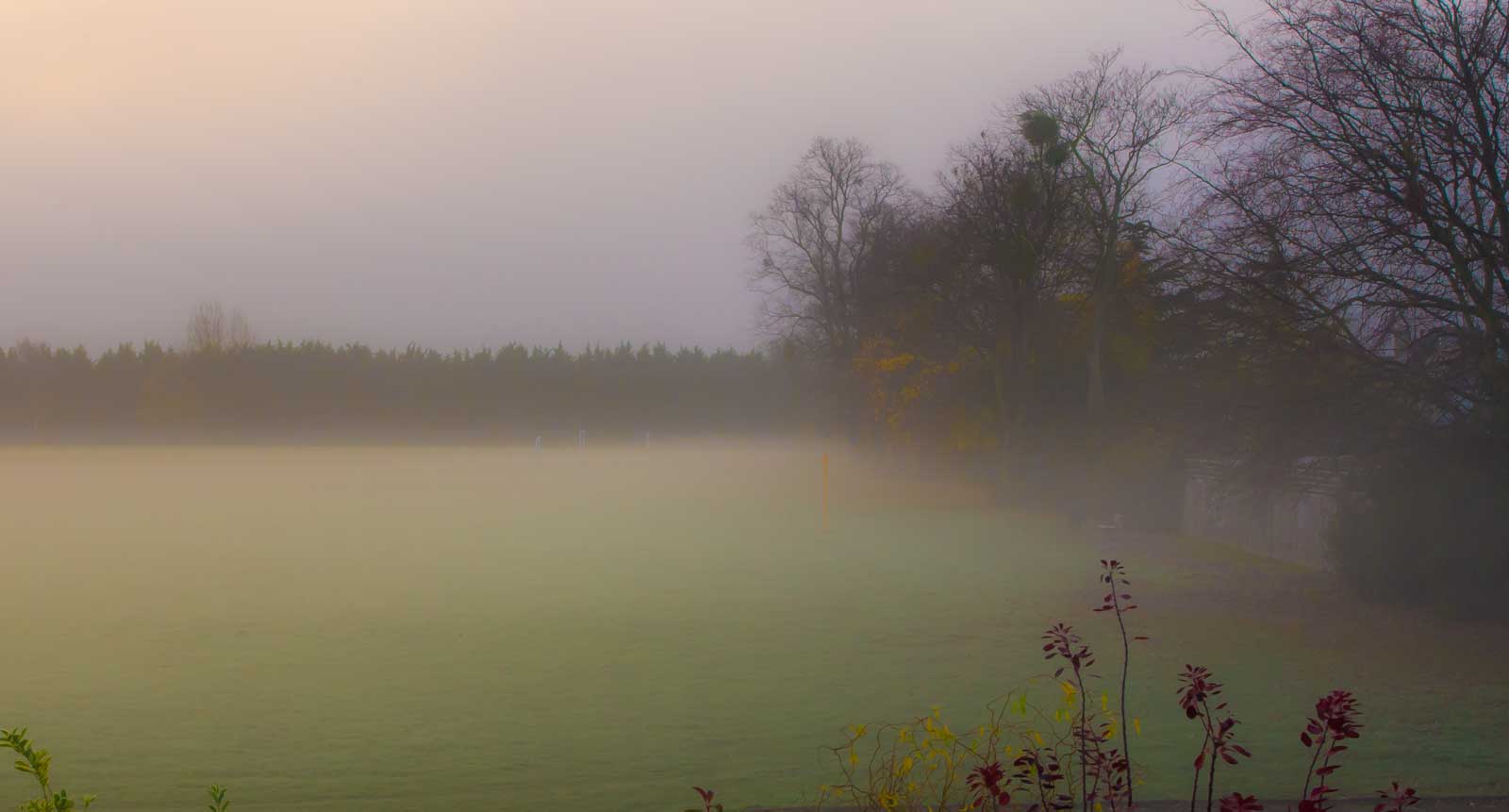 mist-imgp2566