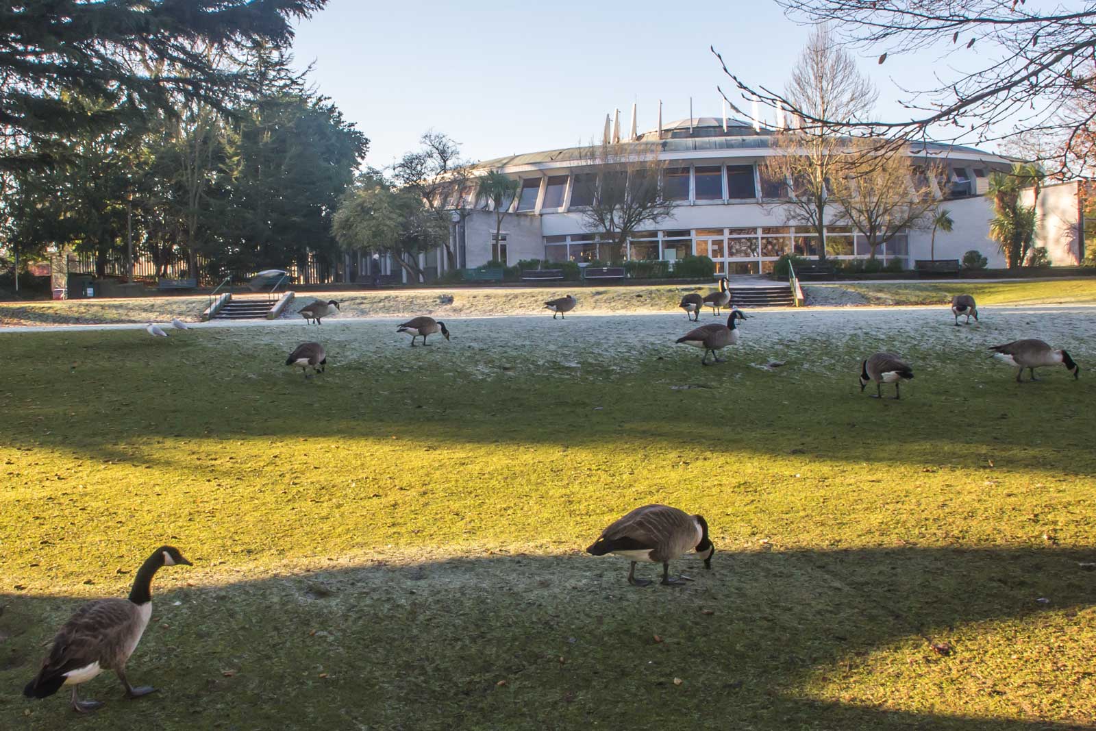 ewell-hogsmill-river-imgp2658