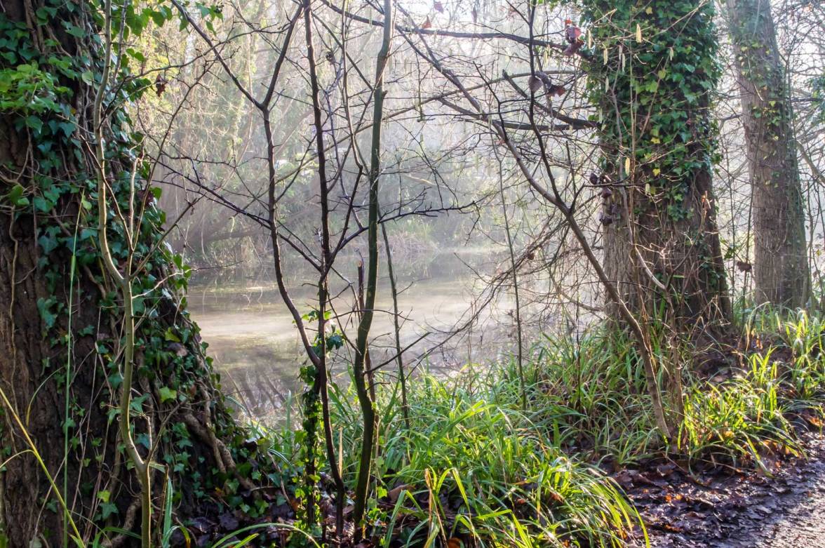 ewell-hogsmill-river-imgp2675