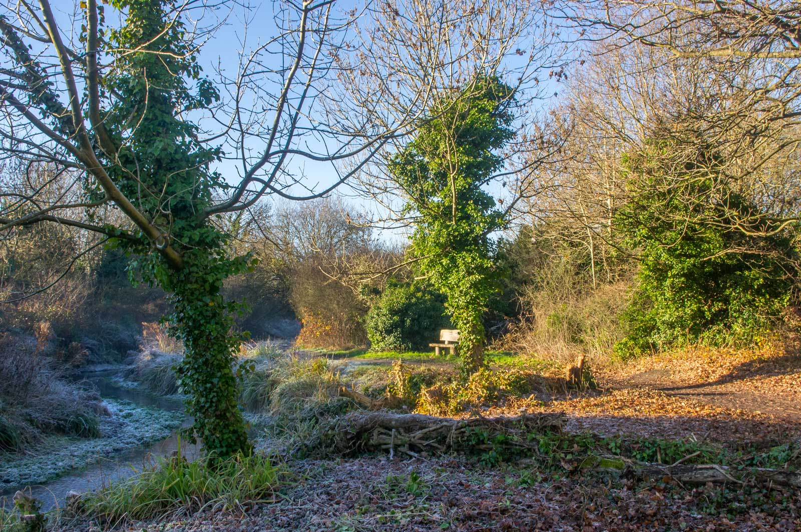 ewell-hogsmill-river-imgp2683