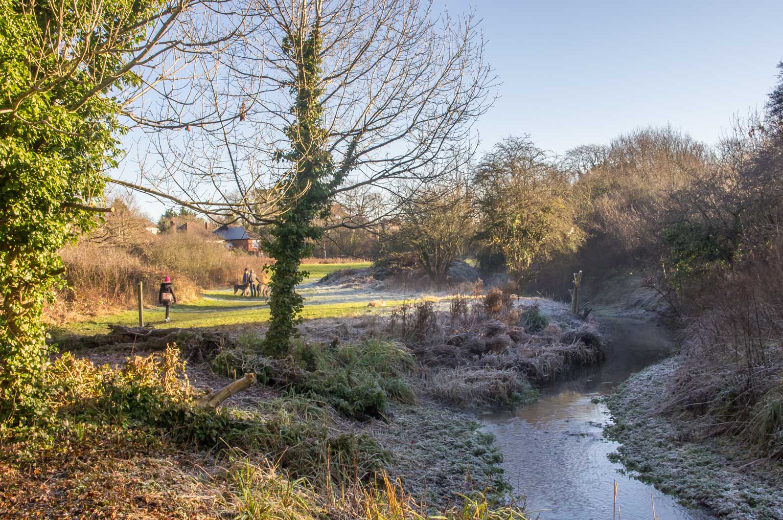 ewell-hogsmill-river-imgp2685