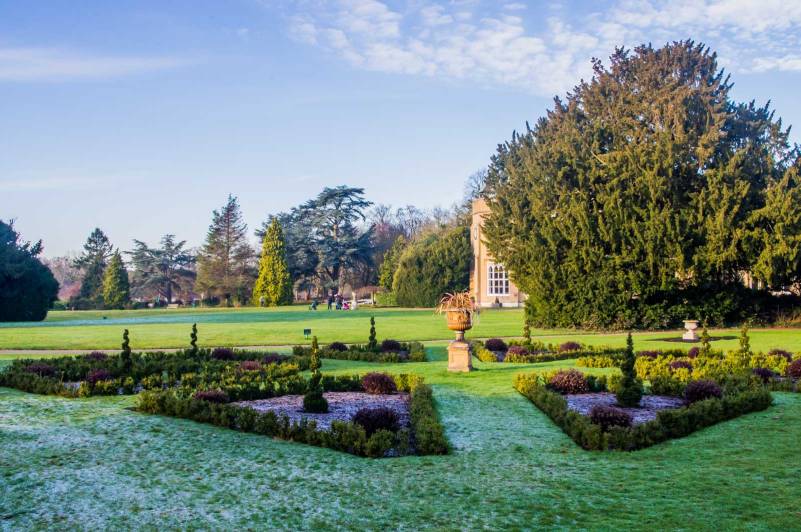 nonsuch-christmas-imgp2642