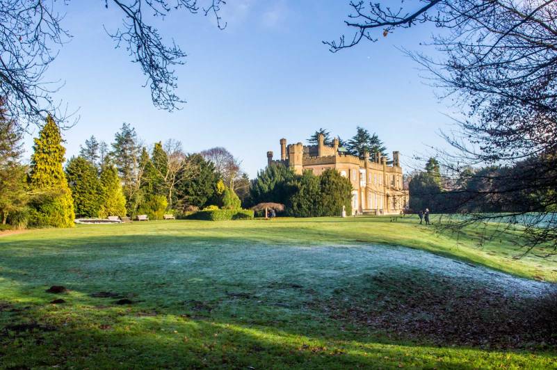 nonsuch-christmas-imgp2647