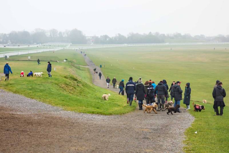 epsom-downs-dsc00036