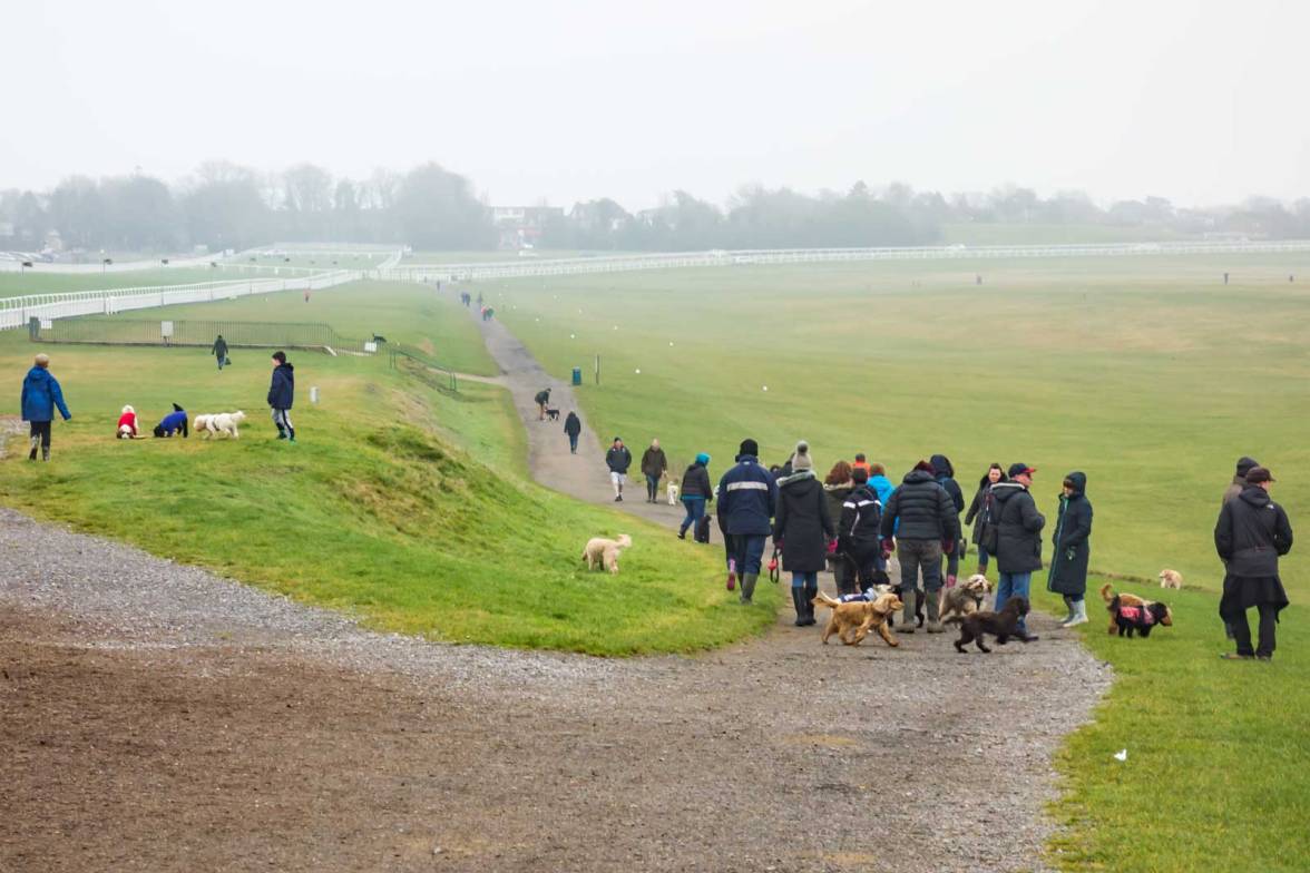 epsom-downs-dsc00036