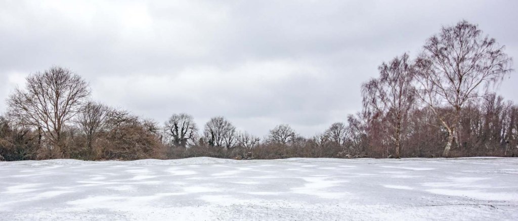 On a bitterly cold&nbsp;walk