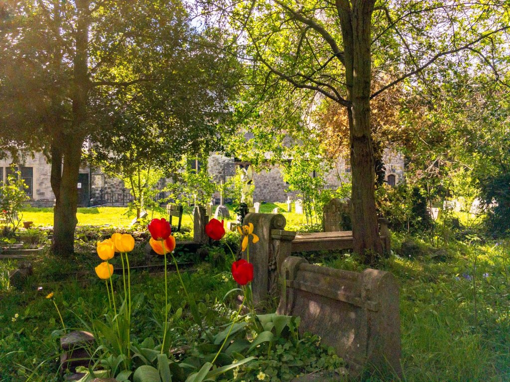 Cheam – A London village