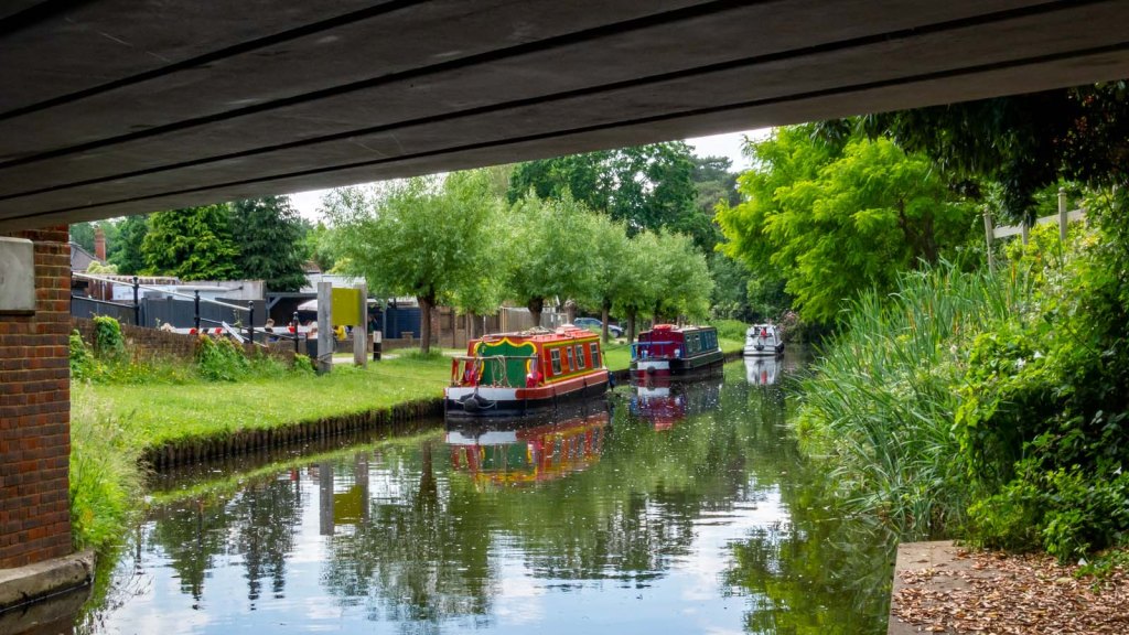 River Wey at&nbsp;Ripley