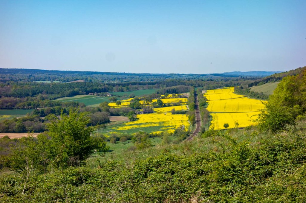 Box Hill to Guildford (15.4&nbsp;miles)