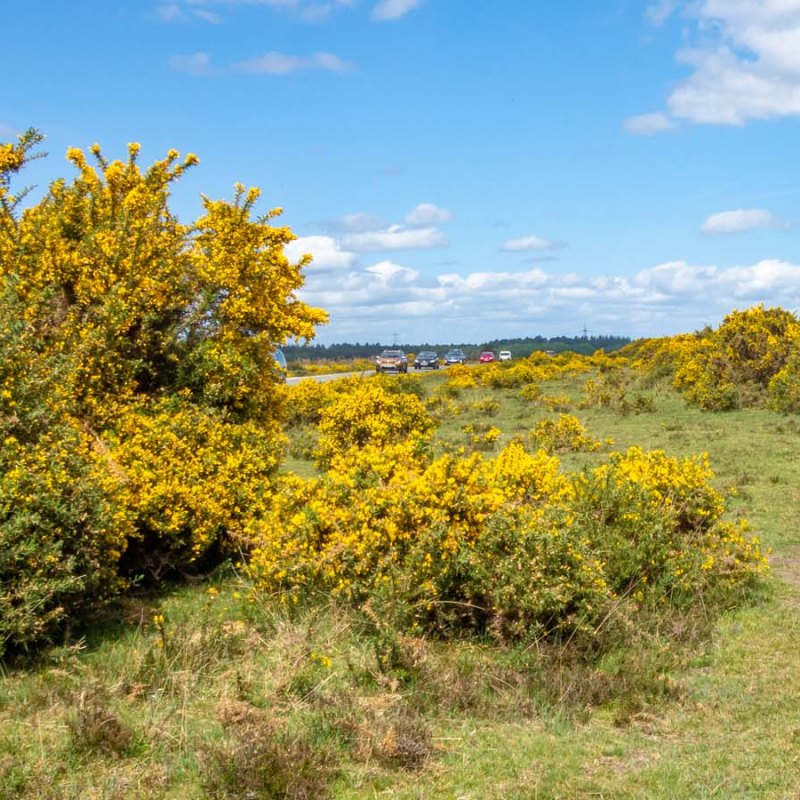 Solent Way (part 3) Beaulieu to&nbsp;Hythe