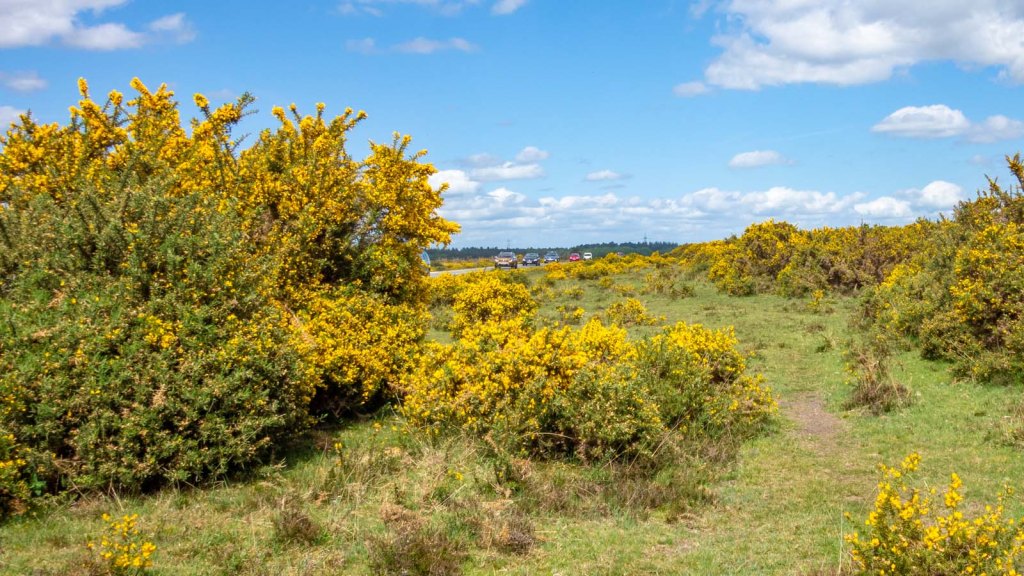 Solent Way (part 3) Beaulieu to&nbsp;Hythe