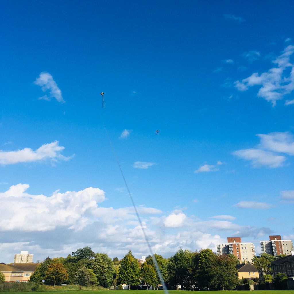 Kites with the&nbsp;kids