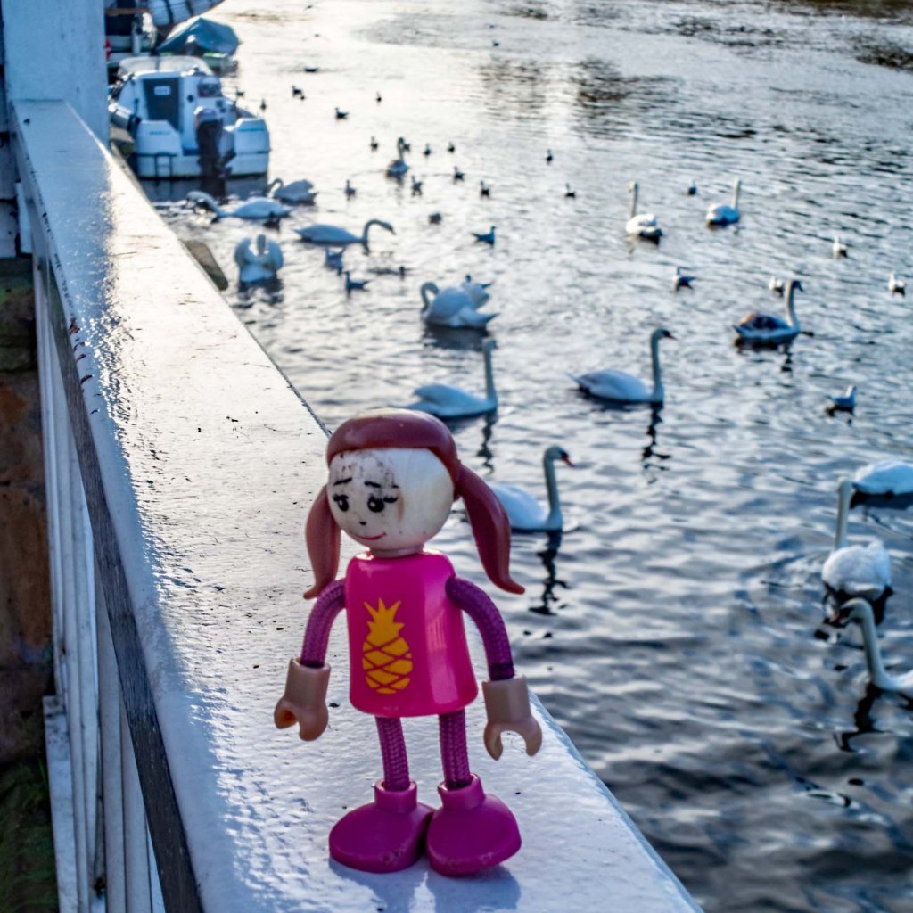 Kingston upon Thames