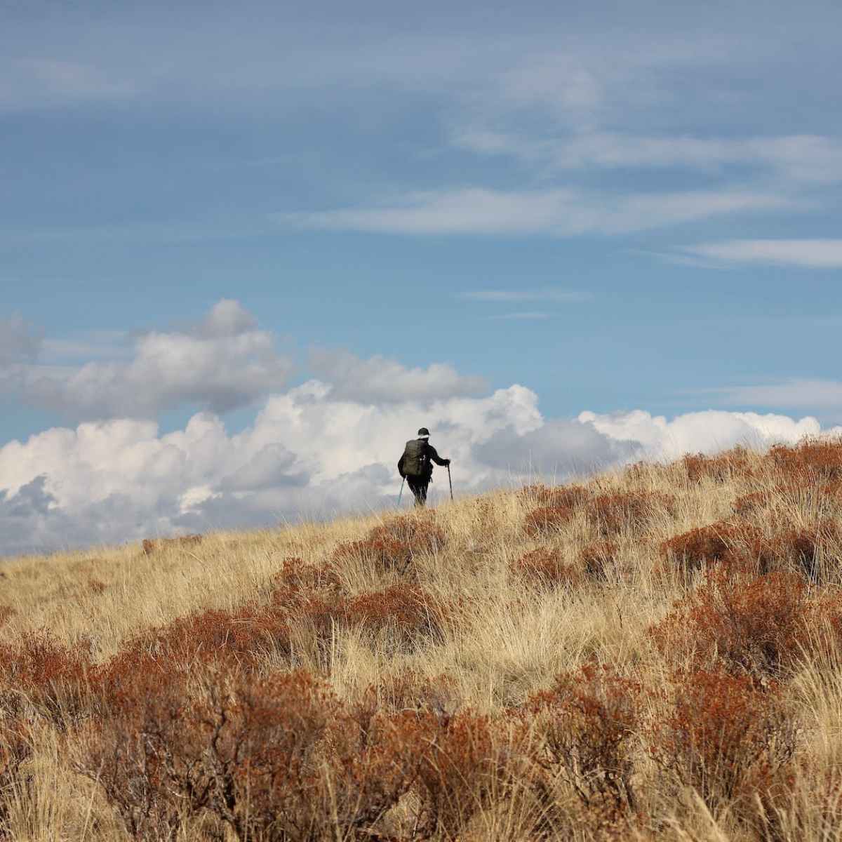 My next two long&nbsp;walks