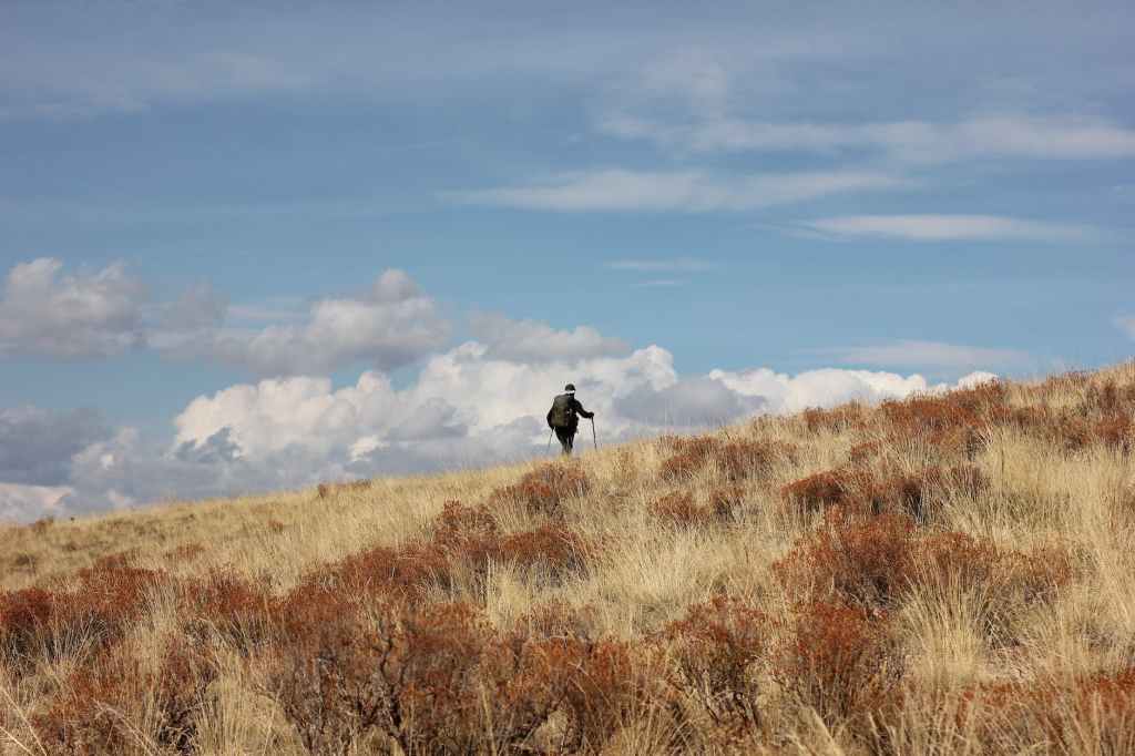 My next two long&nbsp;walks