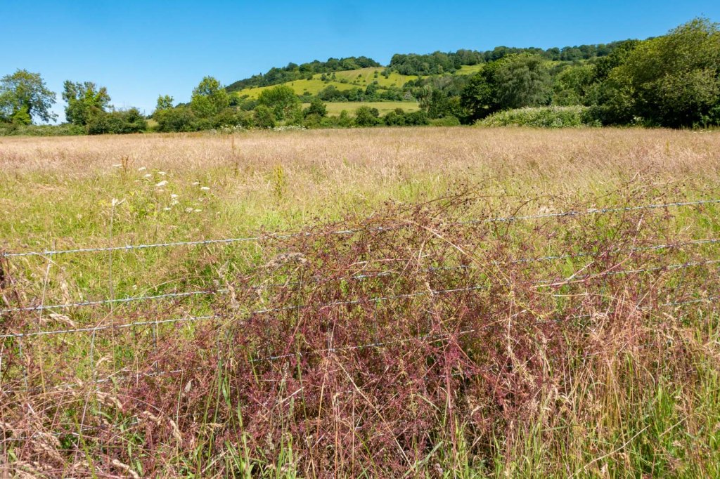 A lovely walk to&nbsp;Brockham