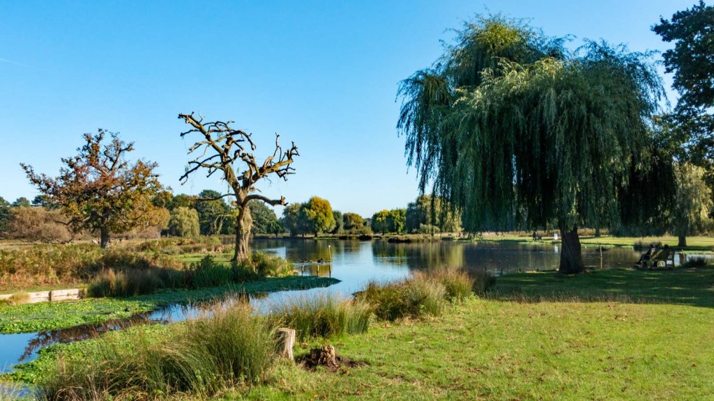 Bushy Park