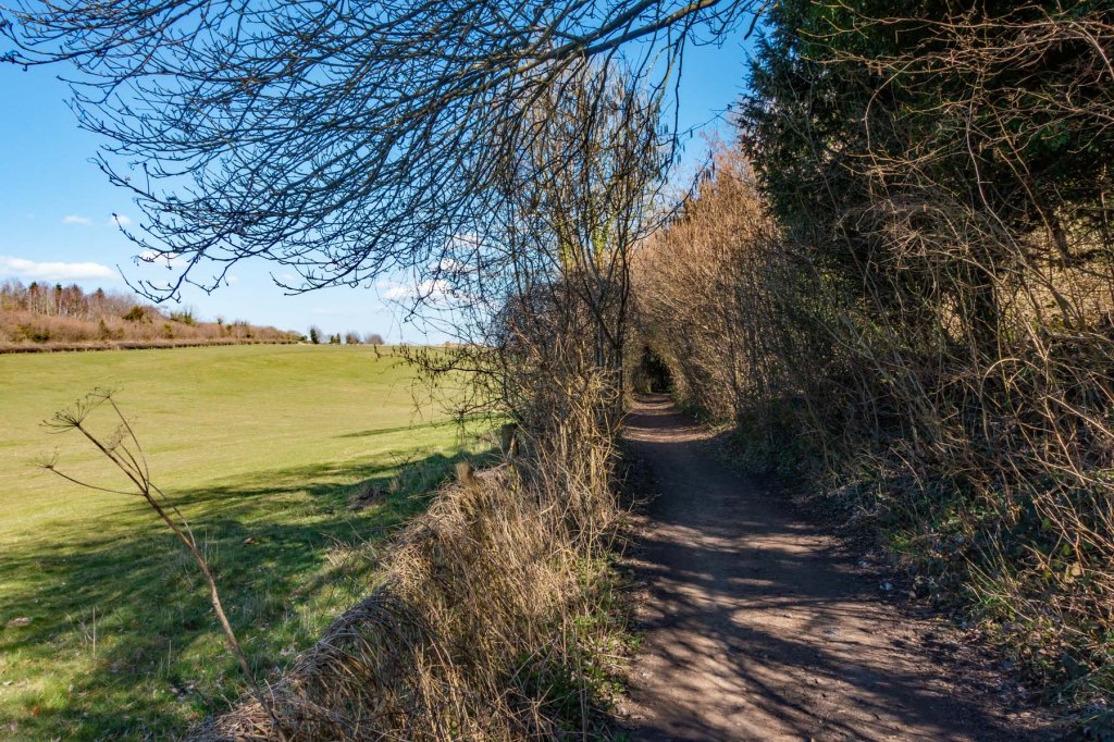A walk to&nbsp;Leatherhead