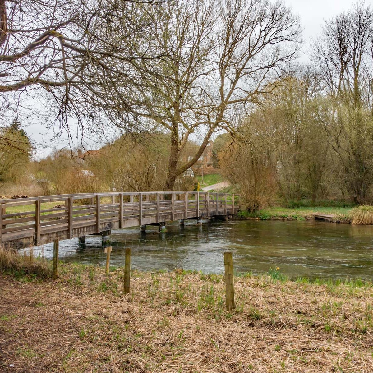 St Swithun’s Way (1) Winchester to&nbsp;Alresford