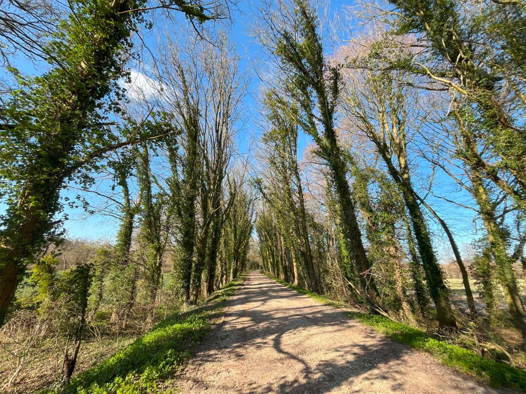 St Swithun’s Way (2) Alresford to&nbsp;Alton