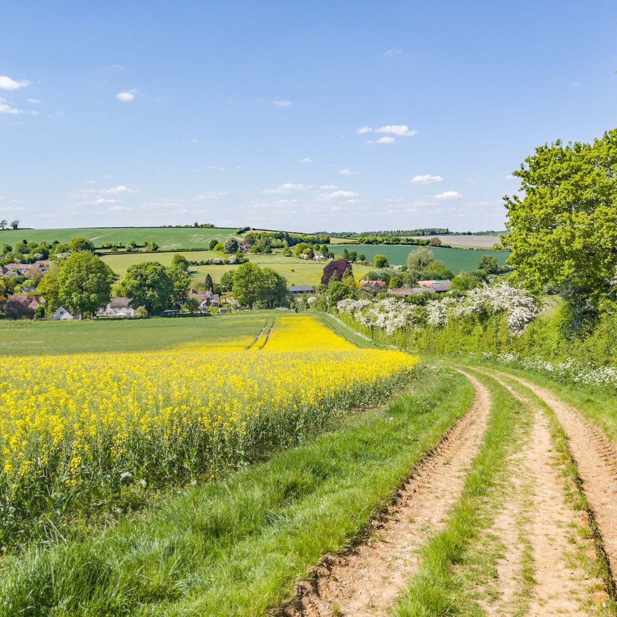 Clarendon Way (part 2) Broughton –&nbsp;Winchester