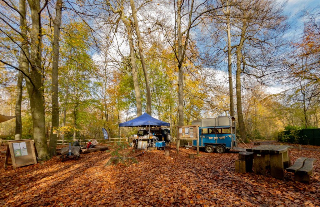 Leatherhead to Westhumble