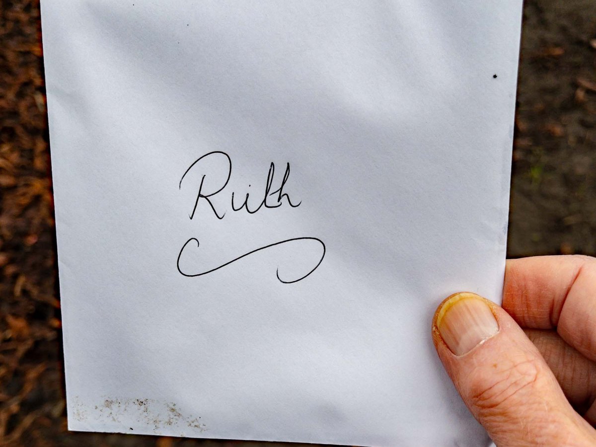 Found on a walk to&nbsp;Banstead