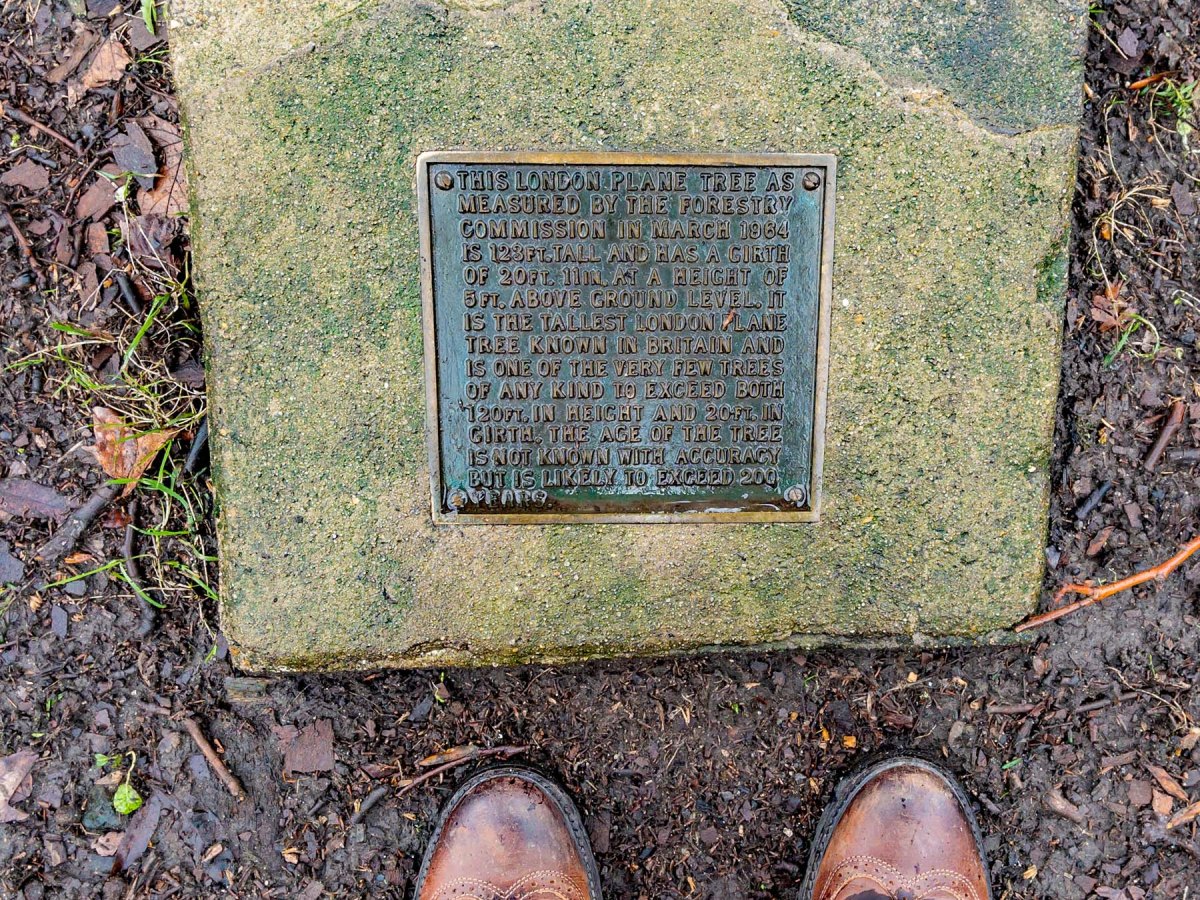 Honeywood Museum, Carshalton