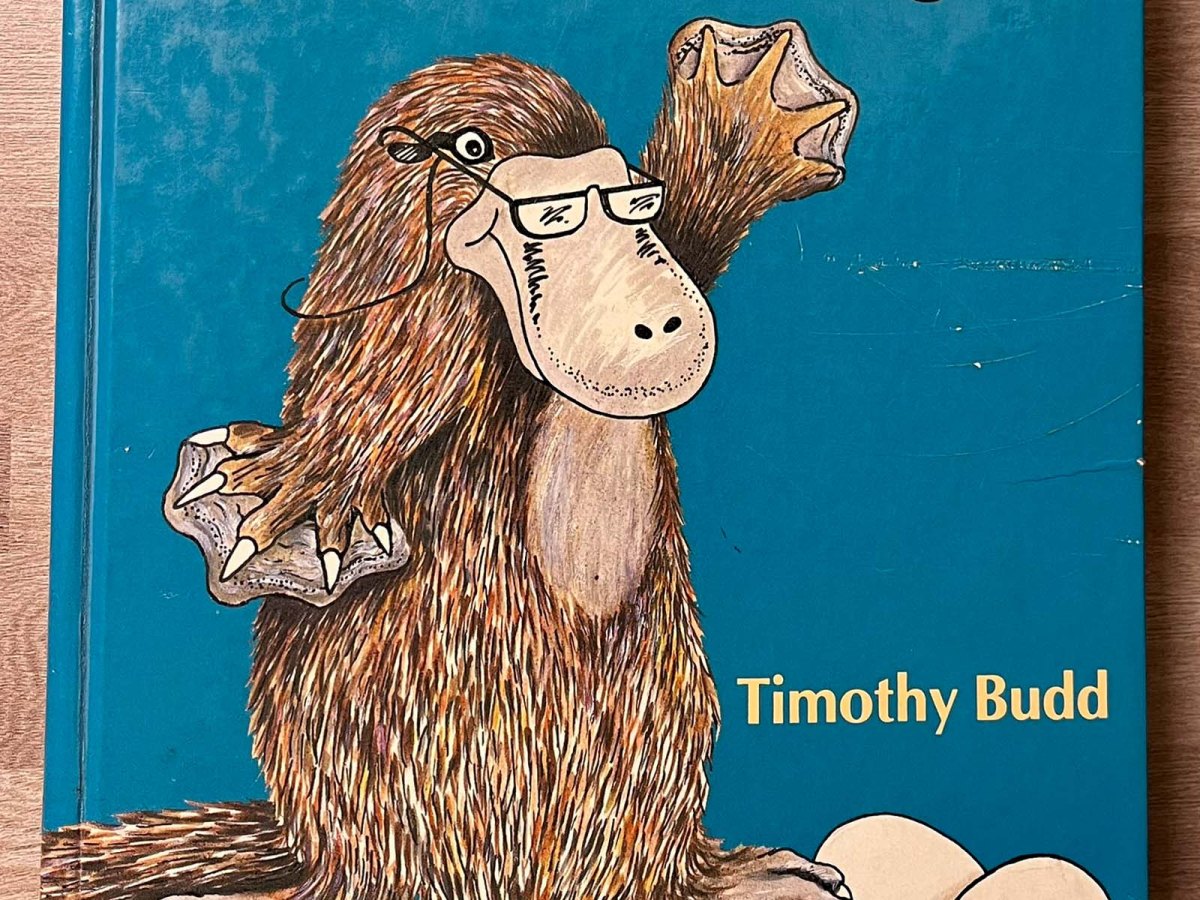 An old textbook is ready for&nbsp;pulping